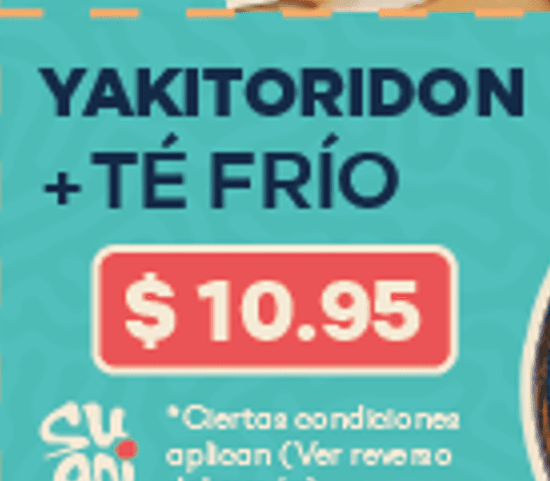 Yakitoridon + Te Frio